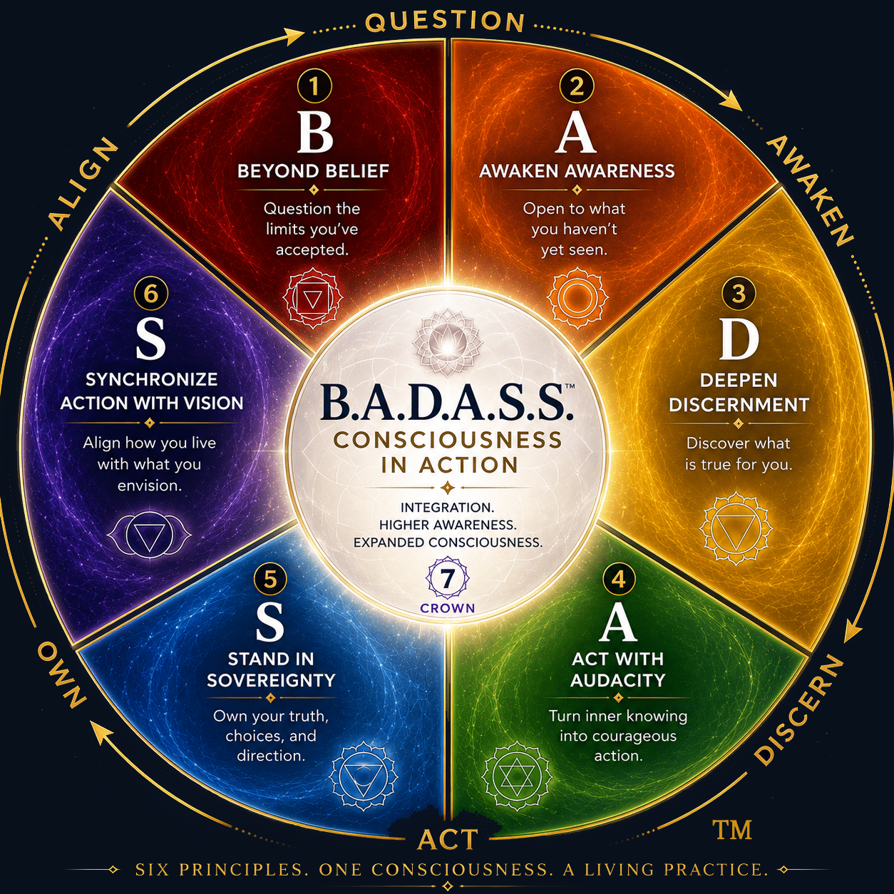 badass-consciousness-wheel-pauli-murphy-1-09111d